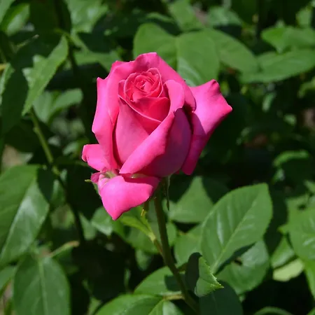 Stunning In Umbria With Jacuzzi Σπίτι διακοπών Monte Santa Maria Tiberina